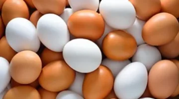 115 جنيهًا للكرتونة.. تطورات أسعار البيض في أسواق كفر الشيخ اليوم الخميس